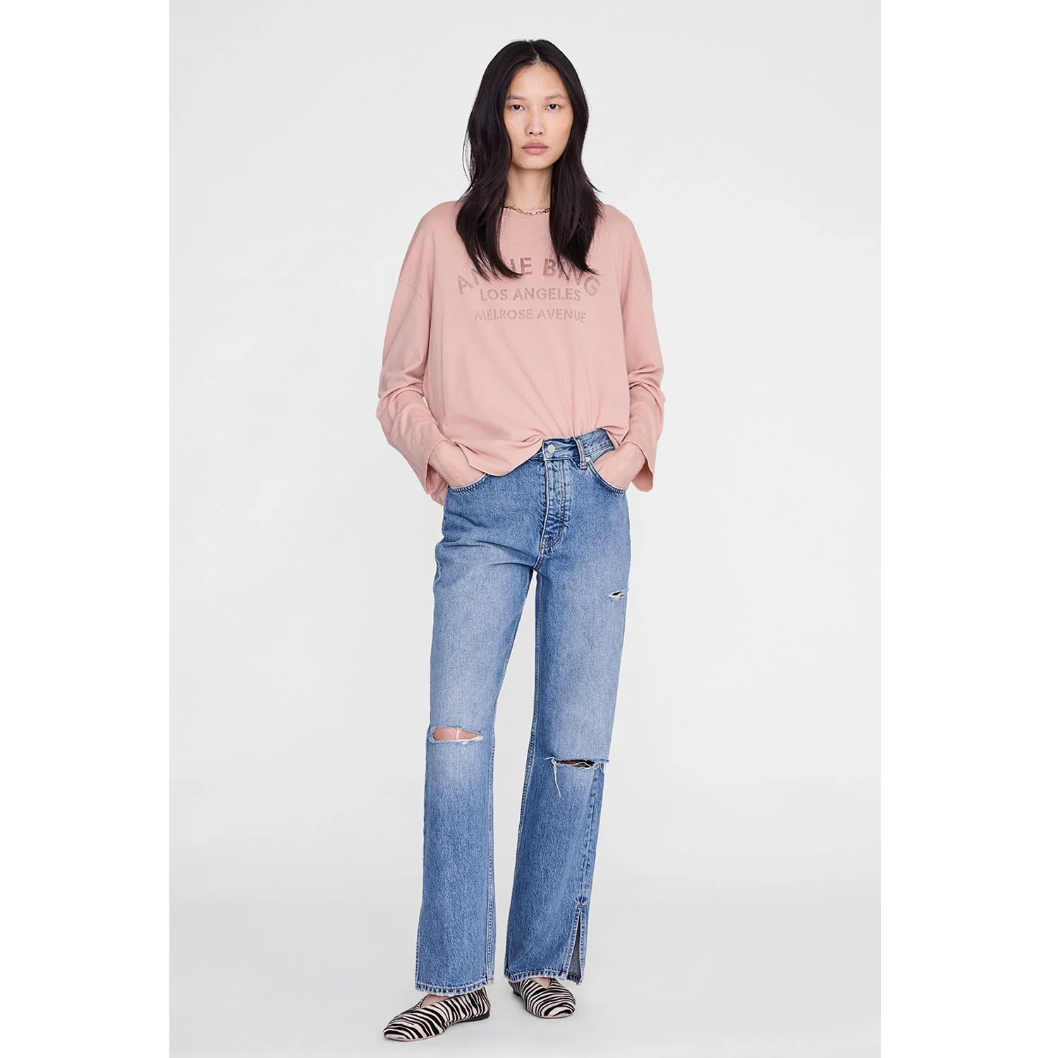 Anine Bing IVAN LONG SLEEVE MELROSE STENCIL, Washed Blushed - Image 2