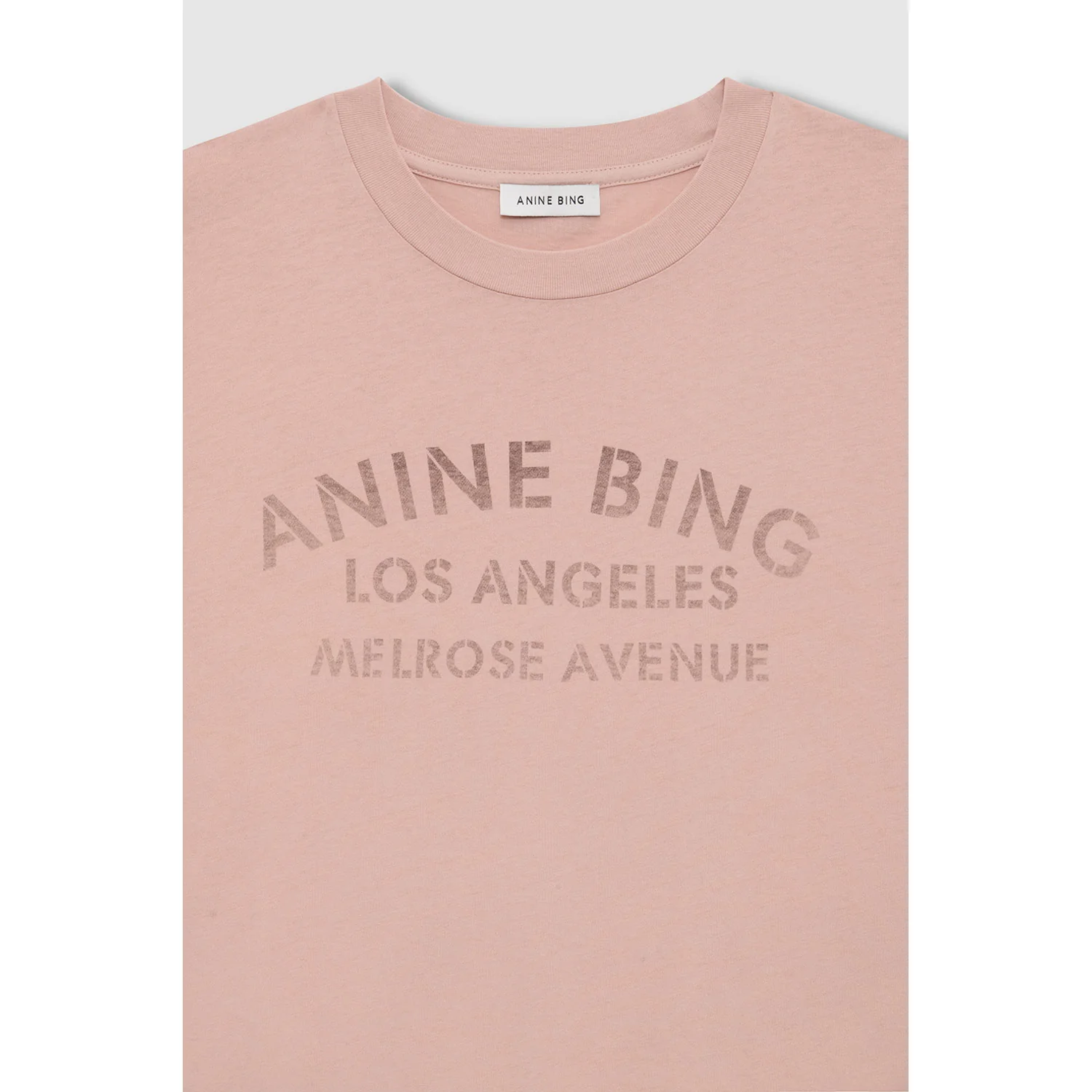 Anine Bing IVAN LONG SLEEVE MELROSE STENCIL, Washed Blushed - Image 4