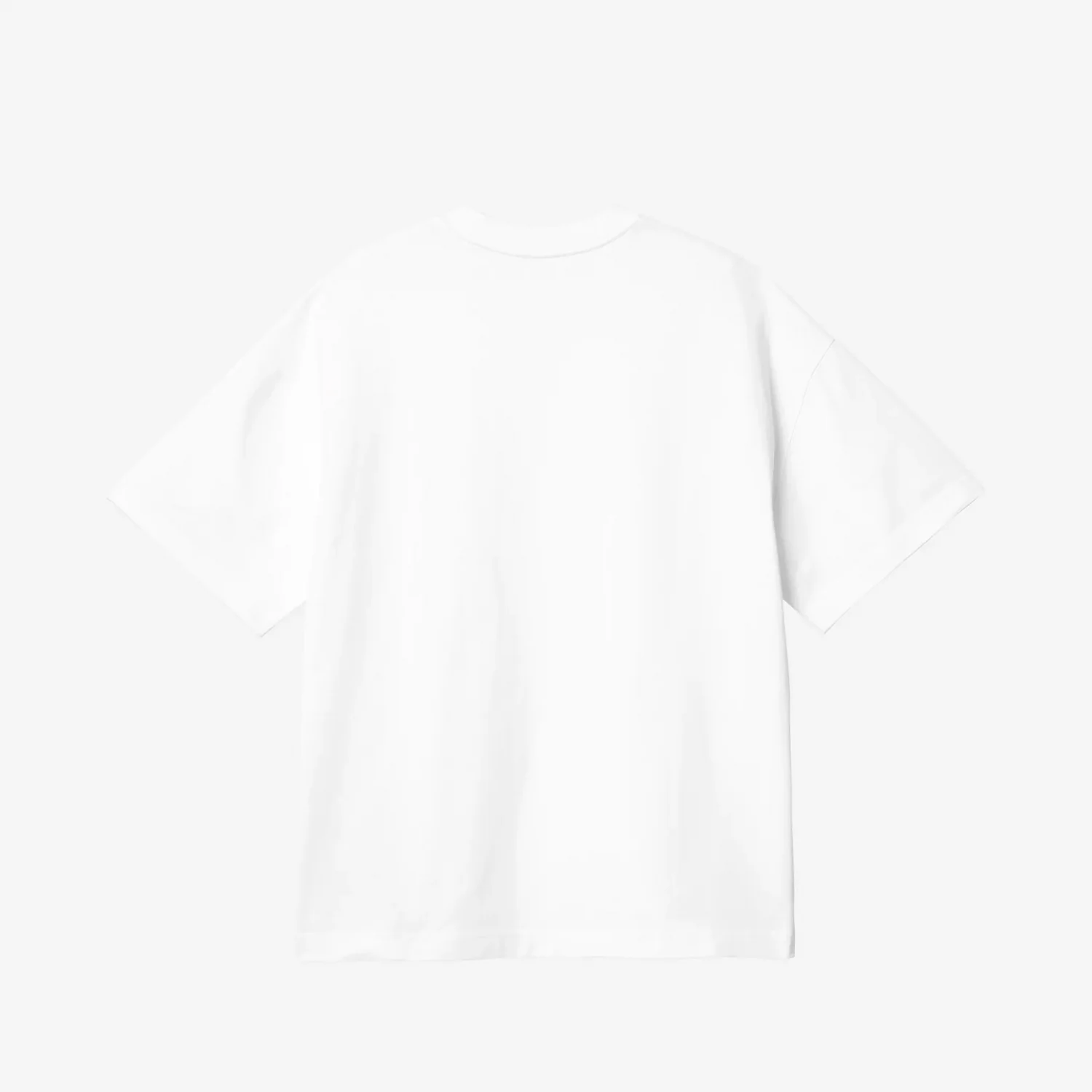 Carhartt WIP S/S LINK SCRIPT T-SHIRT, White - Image 2